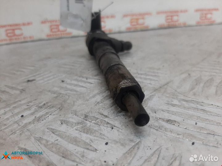 Форсунка Opel Insignia (A) 2009 55566050