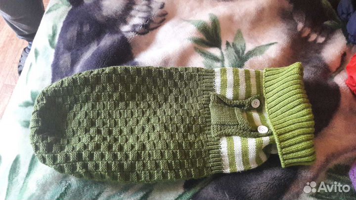 Одежда для собак