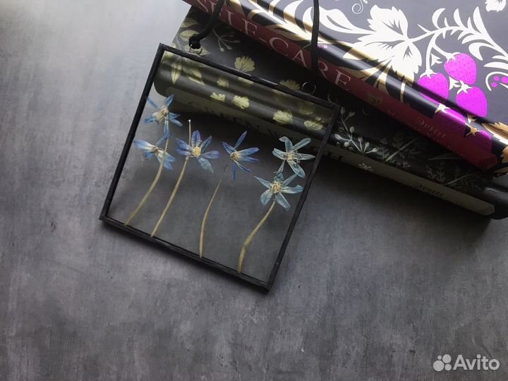 Гербарий в стекле с пролеской