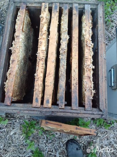 Десятирамочные ульи, рамки медовые, полумëдные