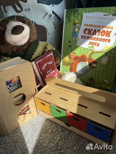 Деревянная игрушка сундук Raduga kids,доски сегена