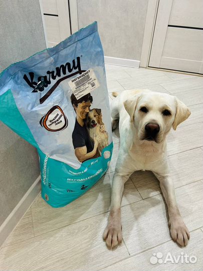 Karmy Hypoallergenic Medium & Maxi, утка