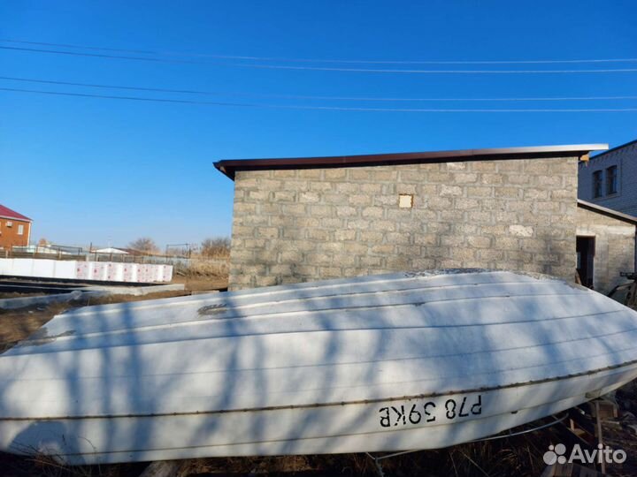 Лодка дельфин