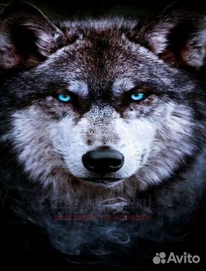 Алмазная мозаика 40x50 Большой серый волк с голубы