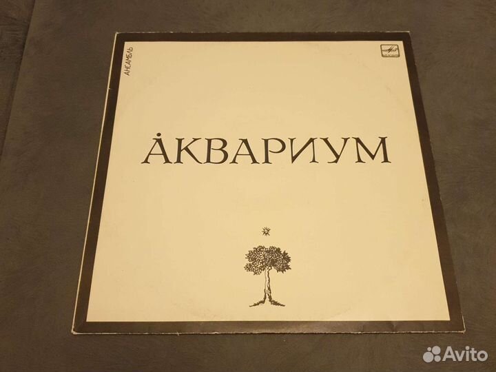 Аквариум Равноденствие