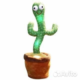 Кактус танцующий в шляпе 6216-1