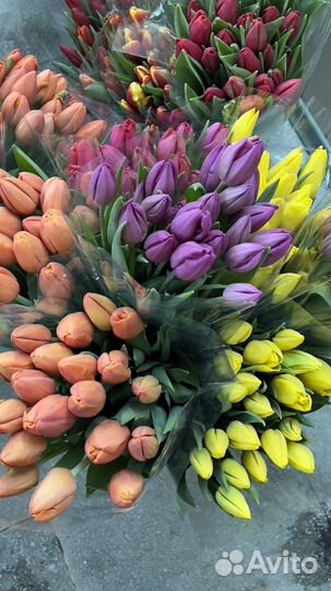 Тюльпаны к 8 марта опт/розница/организации