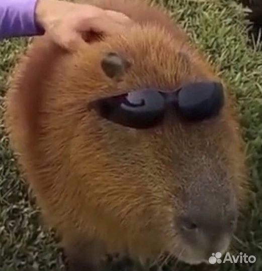 Помощь с моделированием и чертежами