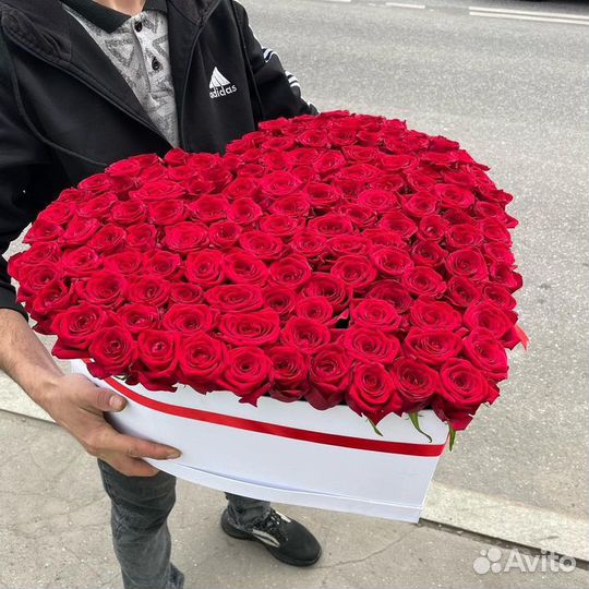 101роза/белые розы/белый роза