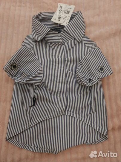 Олежда для Французского Бульдога