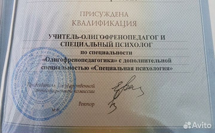 Репетитор начальной школы, тифлопедагог