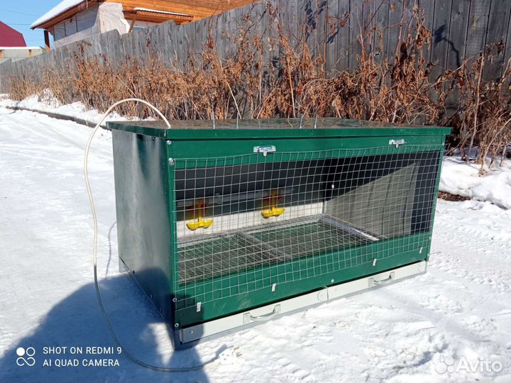 Клетка для перепелов