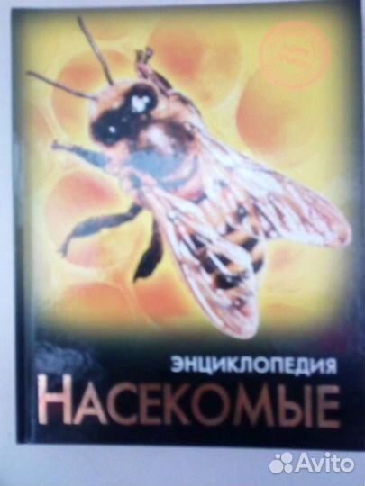 Энциклопедия для детей 