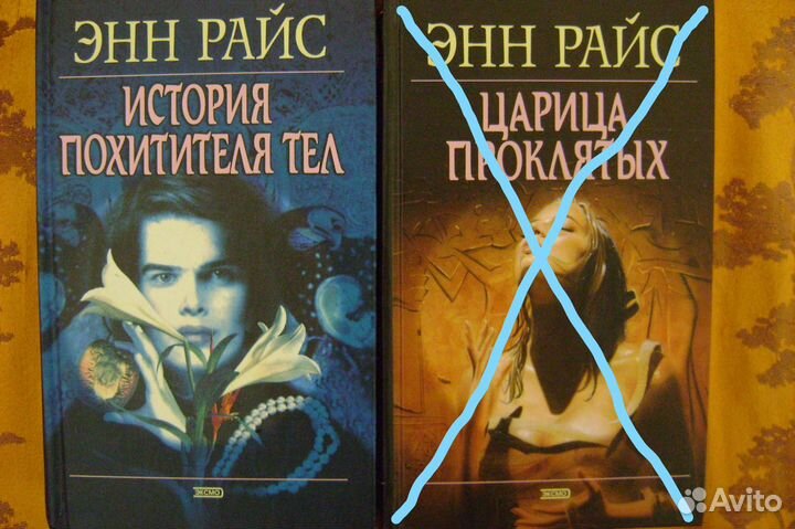 Энн Райс. История похитителя тел