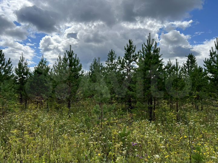 Участок 8 сот. (СНТ, ДНП)