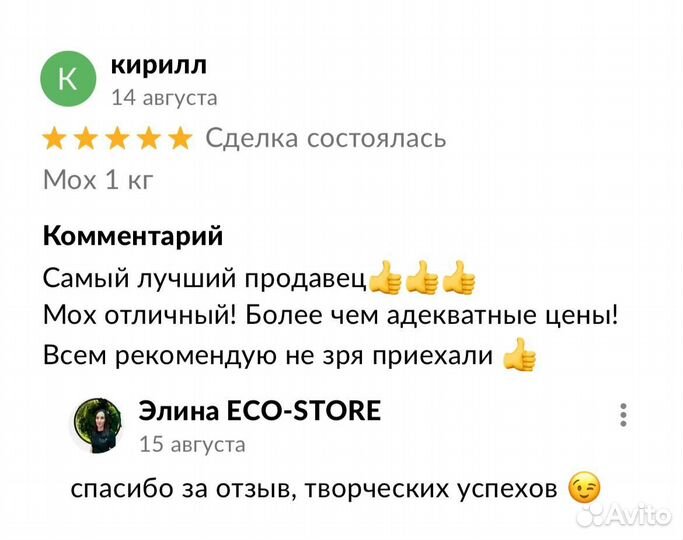 Карта мира из мха в гостиную