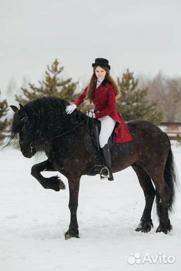 Тренер берейтор