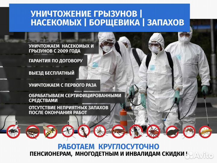 Уничтожение комаров ос клещей борщевика клопов