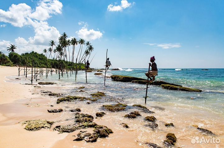 Путешествие на Шри-Ланку 7 ноч. завтрак 1 чел