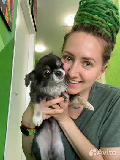 Передержка собак /выгул собак /зооняня / зоотакси