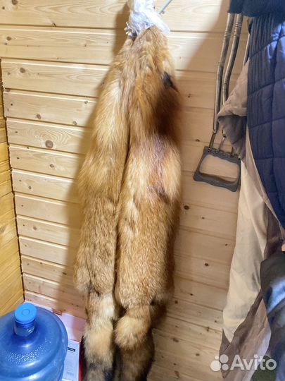 Шкура лисы камчатской