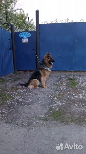 Вязка кабель