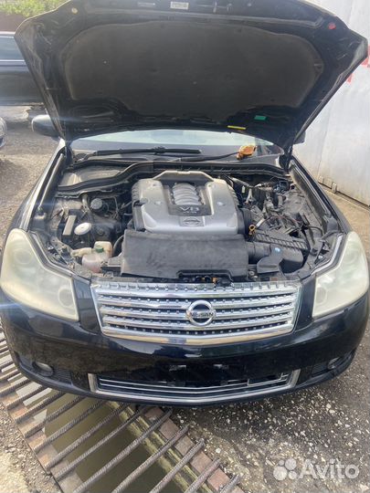 Nissan Fuga, 4.5 задний привод, 2007г. разбор
