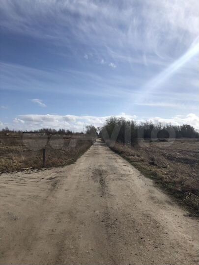 Участок 10 сот. (СНТ, ДНП)