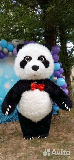 Экспресс поздравление