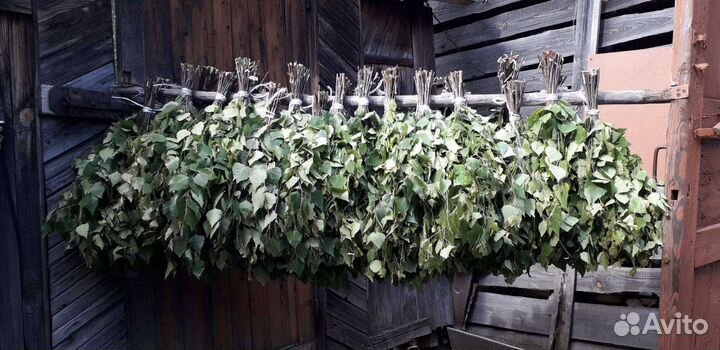 Продам веники