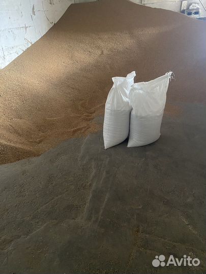 Продам ячмень пшеницу