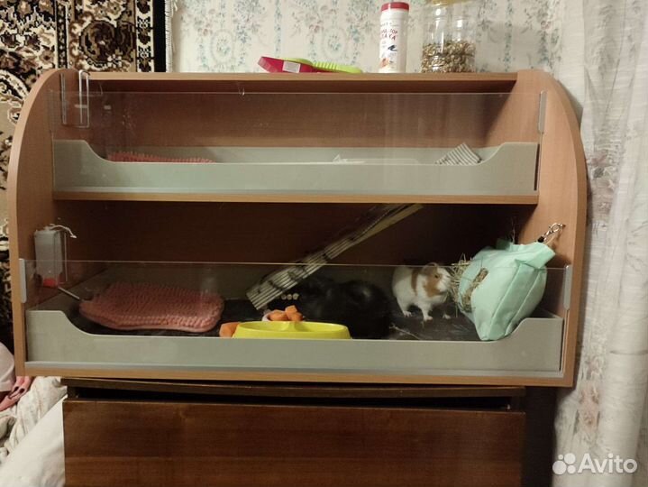 Стеллаж для морских свинок