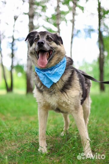 Марат энергия и преданность