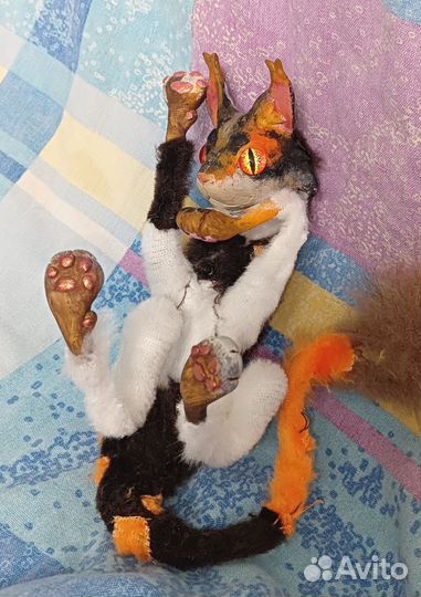 Сол Коты воители