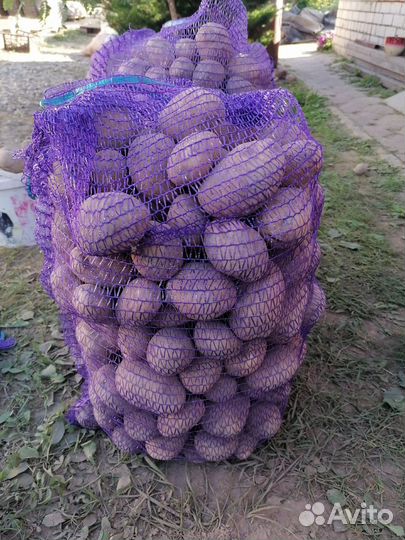 Отборный деревенский картофель на еду