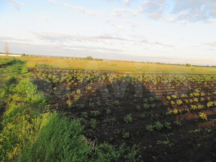 Участок 15 сот. (СНТ, ДНП)