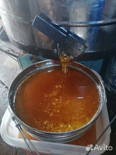 Васильковый свежий мёд опт