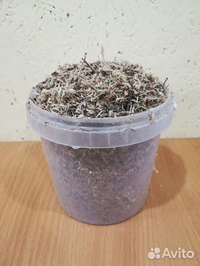 Мох сфагнум, живой, сухой