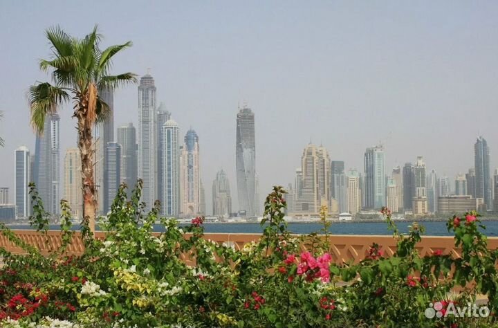 Go в Dubai от 5 нч