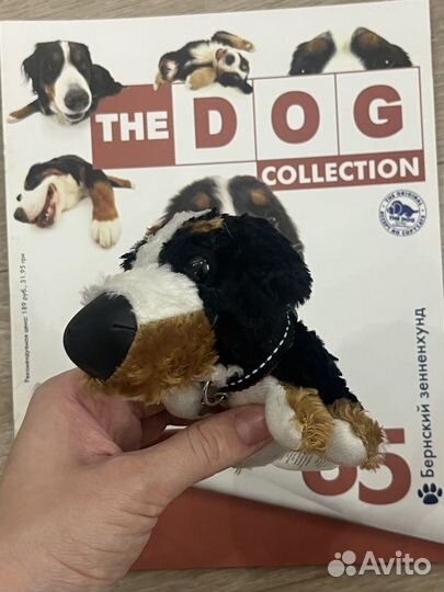 Бернский зенненхунд The Dog Collection