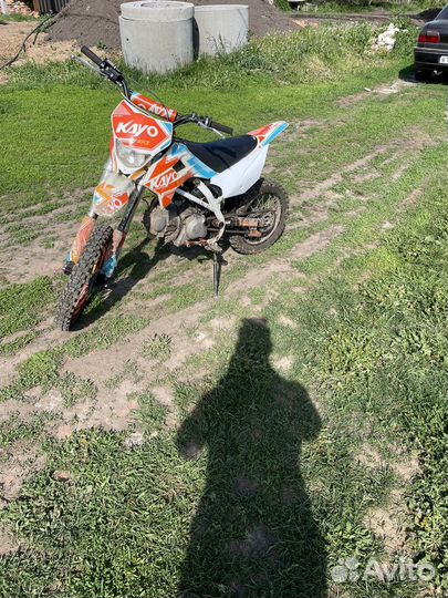 Питбайк кауо 125 еvo