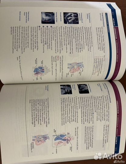Usmle step 1