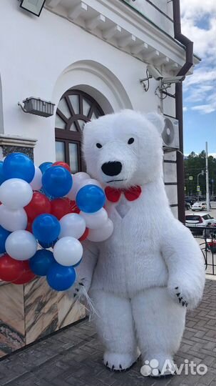 Белый Мишка Топтыжка поздравление