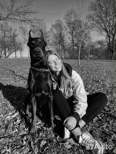 Передержка собак на время отпуска