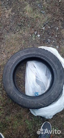 Lassa Iceways 205/55 R16