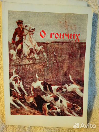 Как выбирать и наганивать гончую, о гончих