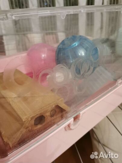 Клетка-дюна для хомяка