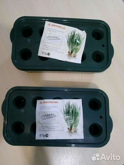 Контейнер для выращивания лука на подоконнике