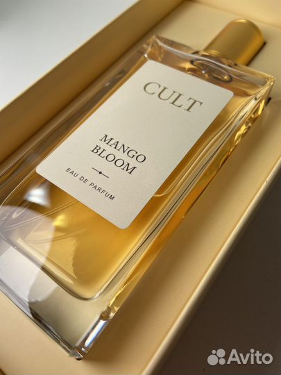 Cult mango bloom