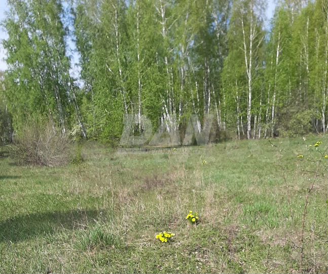 Участок 6,4 сот. (СНТ, ДНП)